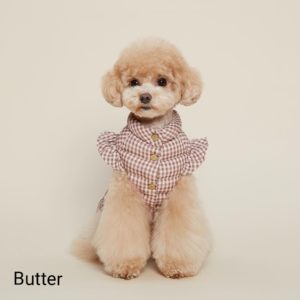 Pudoru Teddy Poodle (11)